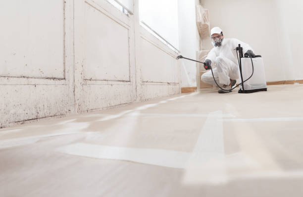 24/7 Emergency Commercial Mold Remediation experts in Kingston, TN