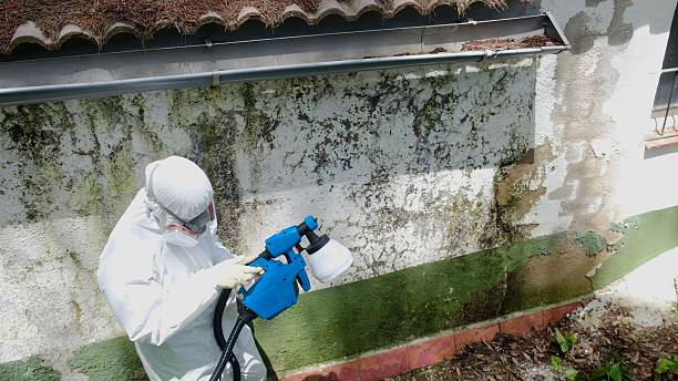 Top rated local Commercial Mold Remediation specialists in Kingston, TN